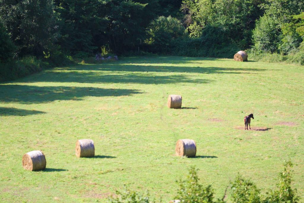 Agriturismo Casale La Palombara Cerreto di Spoleto Eksteriør billede